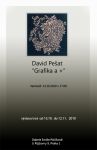 David Pešat - Grafika a +